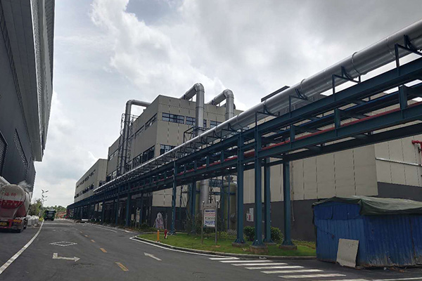 淨化好色先生污视频